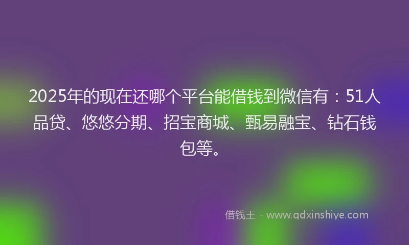 2025年的现在还哪个平台能借钱到微信有：51人品贷、悠悠分期、招宝商城、甄易融宝、钻石钱包等。