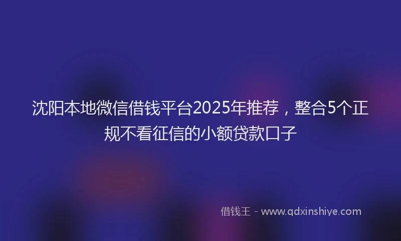沈阳本地微信借钱平台2025年推荐，整合5个正规不看征信的小额贷款口子