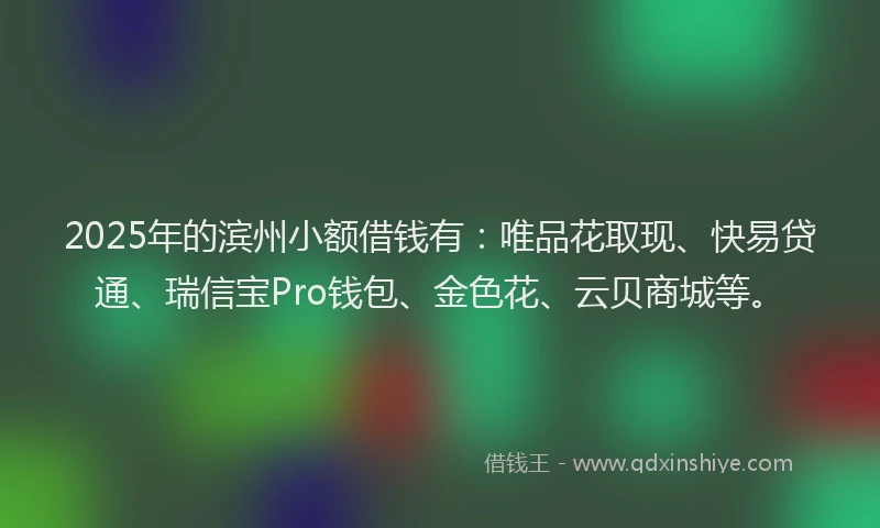 2025年的滨州小额借钱有：唯品花取现、快易贷通、瑞信宝Pro钱包、金色花、云贝商城等。