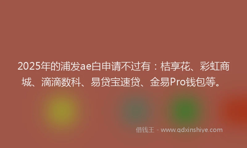2025年的浦发ae白申请不过有：桔享花、彩虹商城、滴滴数科、易贷宝速贷、金易Pro钱包等。