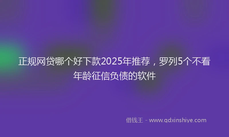 正规网贷哪个好下款2025年推荐，罗列5个不看年龄征信负债的软件