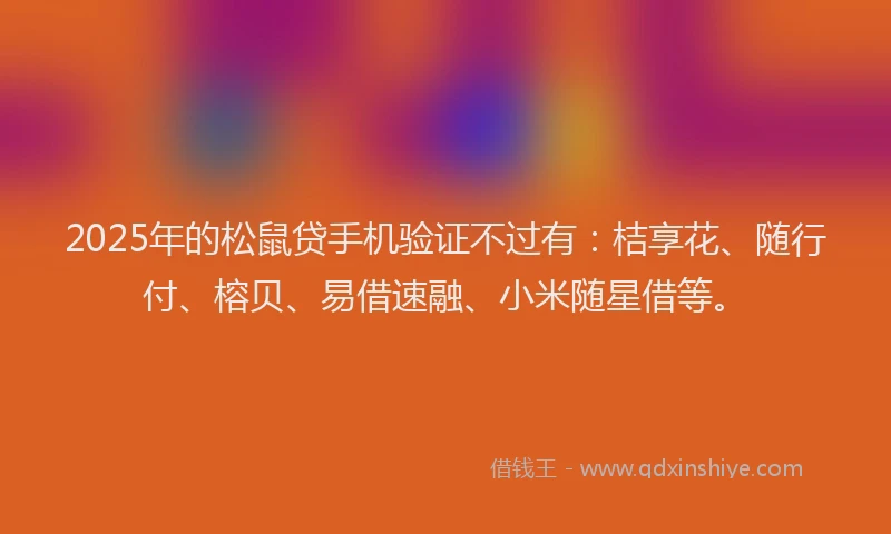 2025年的松鼠贷手机验证不过有：桔享花、随行付、榕贝、易借速融、小米随星借等。