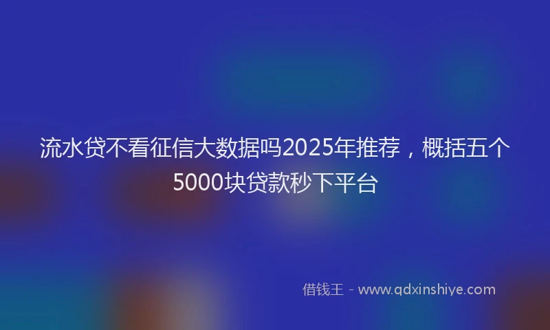 流水贷不看征信大数据吗2025年推荐，概括五个5000块贷款秒下平台