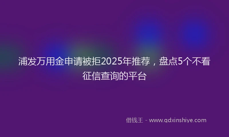 浦发万用金申请被拒2025年推荐，盘点5个不看征信查询的平台