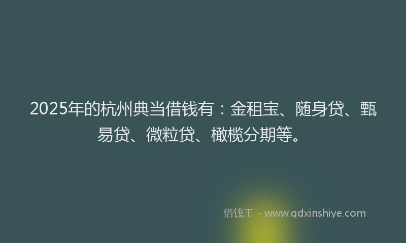 2025年的杭州典当借钱有：金租宝、随身贷、甄易贷、微粒贷、橄榄分期等。