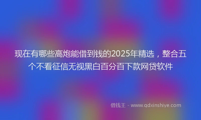 现在有哪些高炮能借到钱的2025年精选，整合五个不看征信无视黑白百分百下款网贷软件