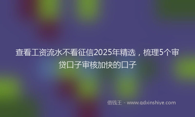 查看工资流水不看征信2025年精选，梳理5个审贷口子审核加快的口子