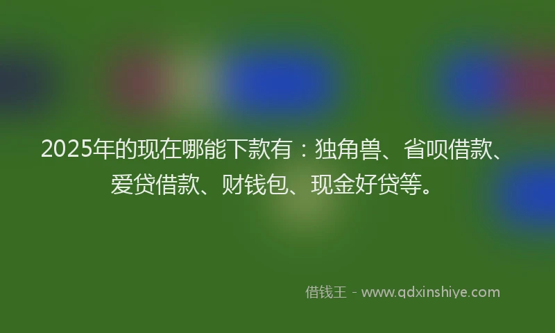 2025年的现在哪能下款有：独角兽、省呗借款、爱贷借款、财钱包、现金好贷等。