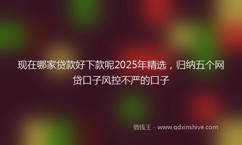 现在哪家贷款好下款呢2025年精选，归纳五个网贷口子风控不严的口子