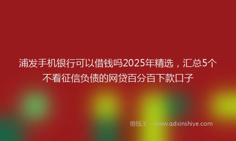 浦发手机银行可以借钱吗2025年精选，汇总5个不看征信负债的网贷百分百下款口子