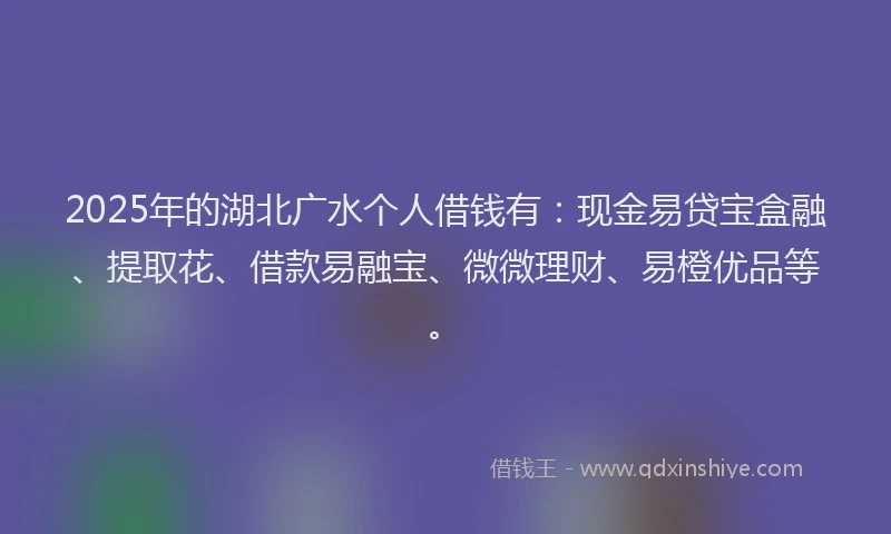 2025年的湖北广水个人借钱有：现金易贷宝盒融、提取花、借款易融宝、微微理财、易橙优品等。