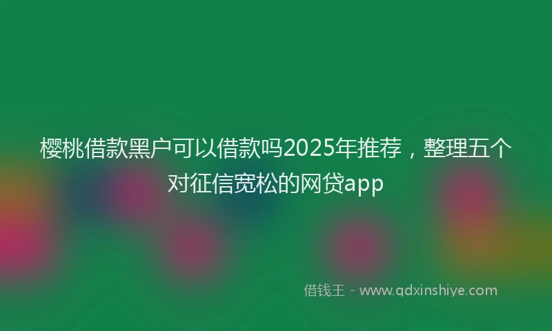 樱桃借款黑户可以借款吗2025年推荐，整理五个对征信宽松的网贷app