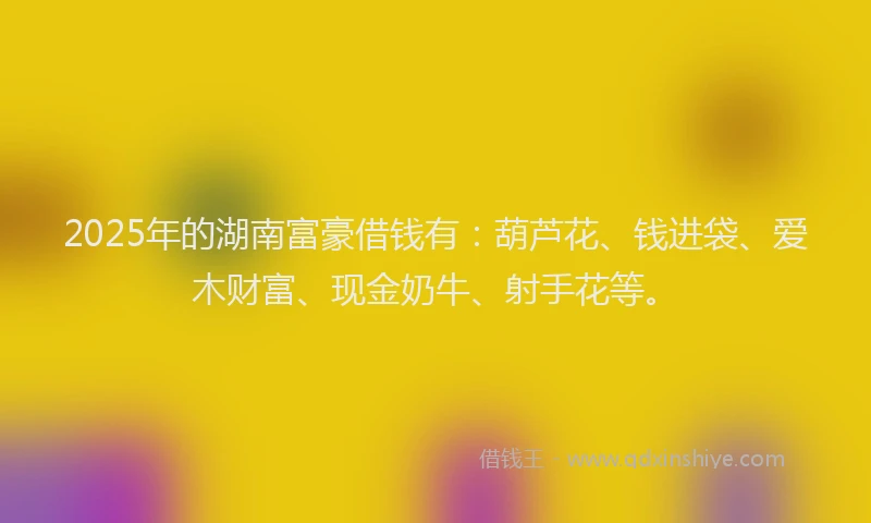 2025年的湖南富豪借钱有：葫芦花、钱进袋、爱木财富、现金奶牛、射手花等。