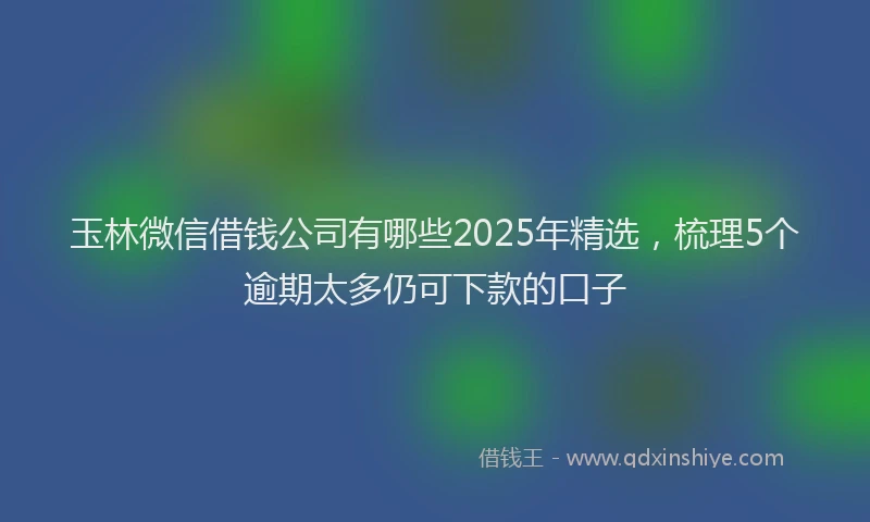 玉林微信借钱公司有哪些2025年精选，梳理5个逾期太多仍可下款的口子