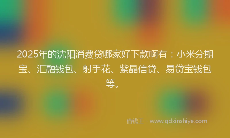 2025年的沈阳消费贷哪家好下款啊有：小米分期宝、汇融钱包、射手花、紫晶信贷、易贷宝钱包等。