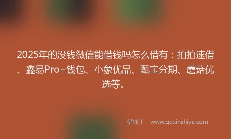 2025年的没钱微信能借钱吗怎么借有：拍拍速借、鑫易Pro+钱包、小象优品、甄宝分期、蘑菇优选等。