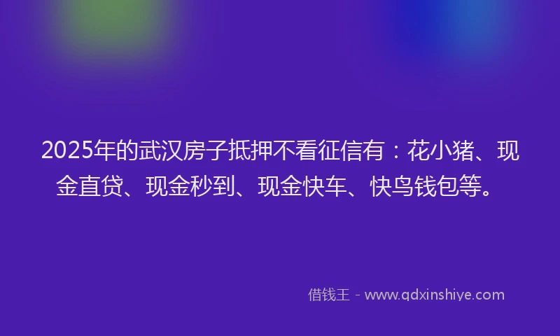 2025年的武汉房子抵押不看征信有：花小猪、现金直贷、现金秒到、现金快车、快鸟钱包等。
