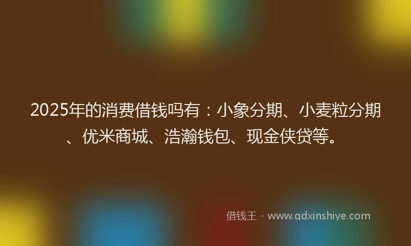 2025年的消费借钱吗有：小象分期、小麦粒分期、优米商城、浩瀚钱包、现金侠贷等。