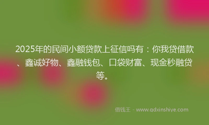 2025年的民间小额贷款上征信吗有：你我贷借款、鑫诚好物、鑫融钱包、口袋财富、现金秒融贷等。