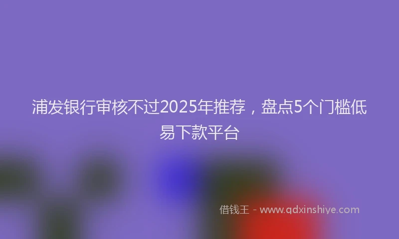 浦发银行审核不过2025年推荐，盘点5个门槛低易下款平台