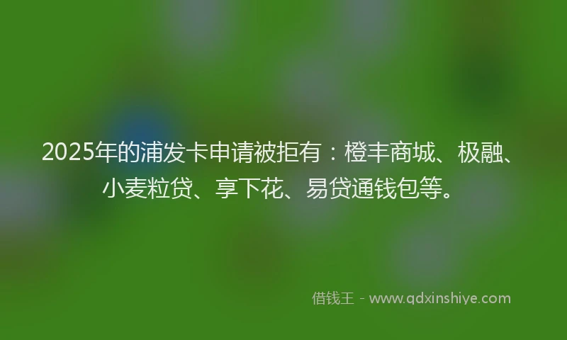 2025年的浦发卡申请被拒有：橙丰商城、极融、小麦粒贷、享下花、易贷通钱包等。