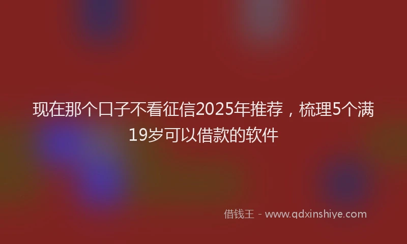 现在那个口子不看征信2025年推荐，梳理5个满19岁可以借款的软件