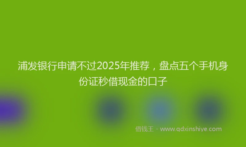 浦发银行申请不过2025年推荐，盘点五个手机身份证秒借现金的口子