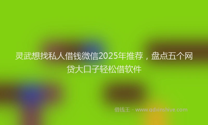 灵武想找私人借钱微信2025年推荐，盘点五个网贷大口子轻松借软件