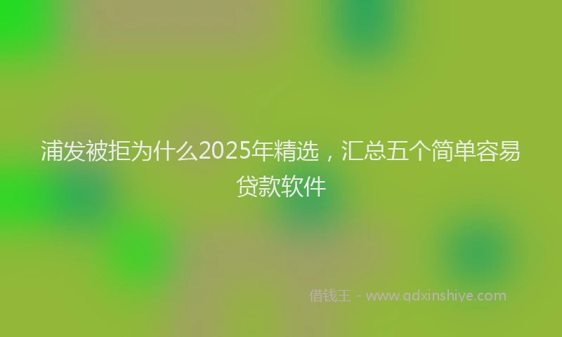 浦发被拒为什么2025年精选，汇总五个简单容易贷款软件