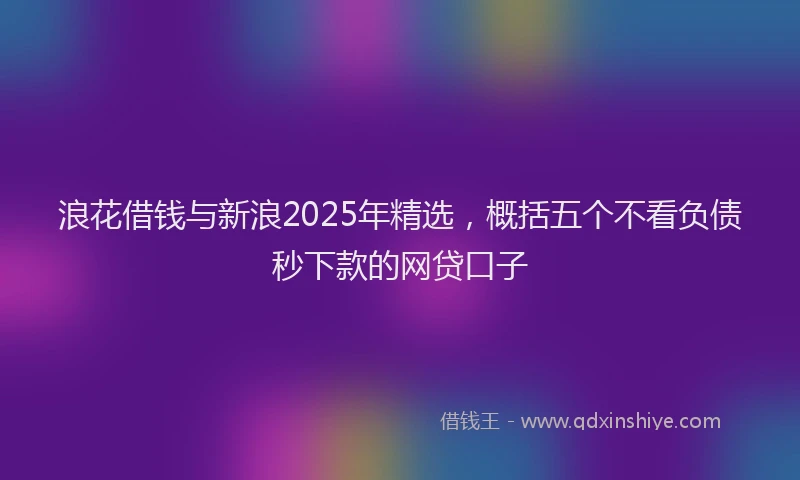 浪花借钱与新浪2025年精选，概括五个不看负债秒下款的网贷口子
