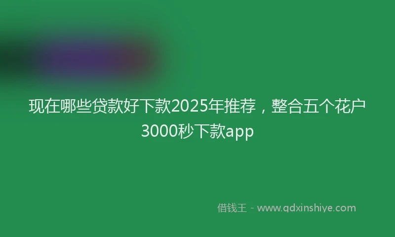 现在哪些贷款好下款2025年推荐，整合五个花户3000秒下款app