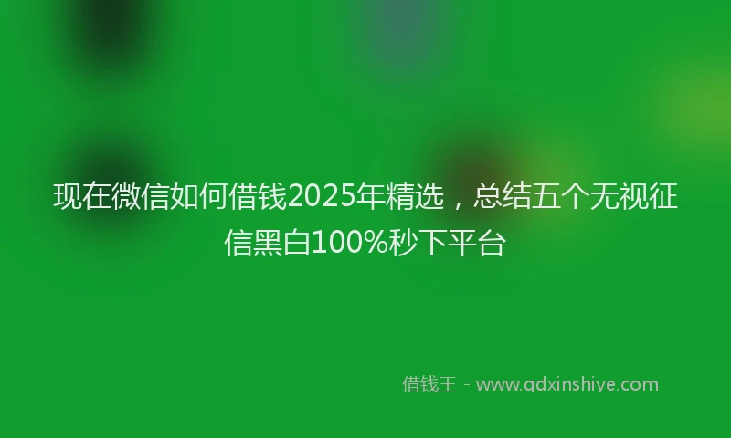 现在微信如何借钱2025年精选，总结五个无视征信黑白100%秒下平台