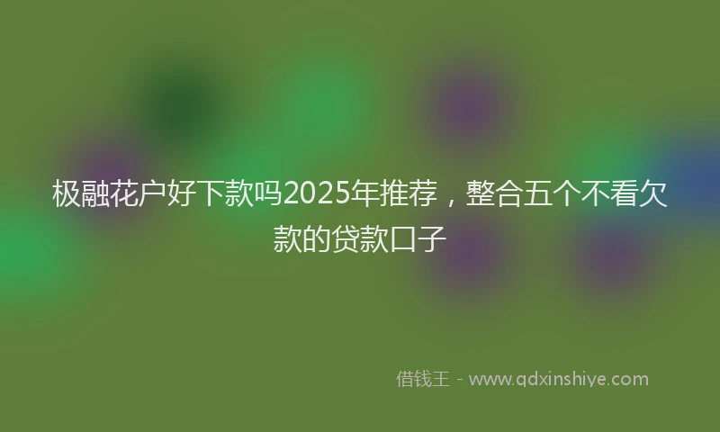 极融花户好下款吗2025年推荐，整合五个不看欠款的贷款口子