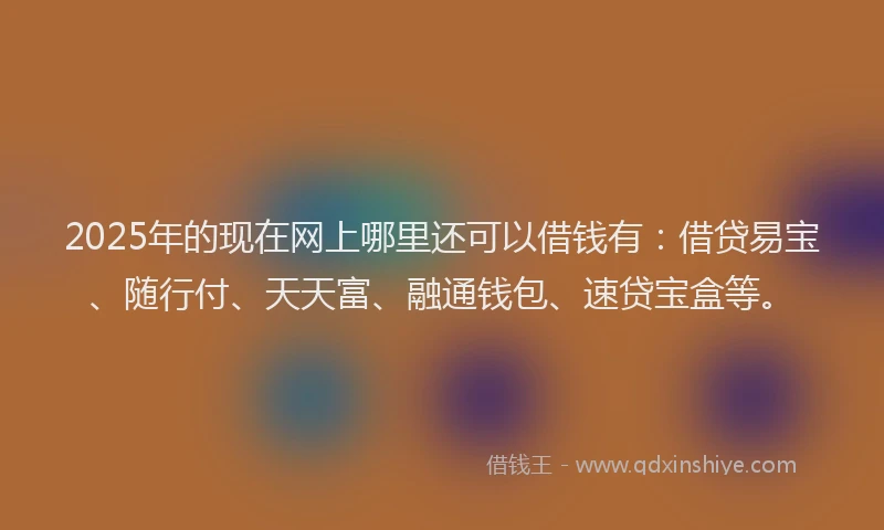 2025年的现在网上哪里还可以借钱有：借贷易宝、随行付、天天富、融通钱包、速贷宝盒等。