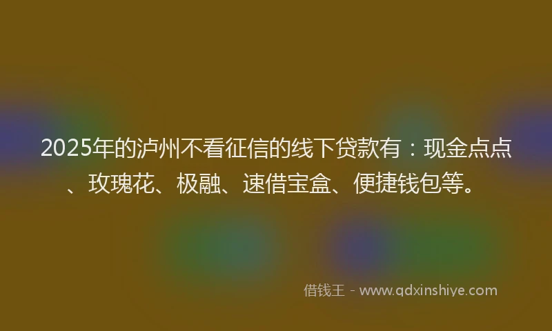 2025年的泸州不看征信的线下贷款有：现金点点、玫瑰花、极融、速借宝盒、便捷钱包等。