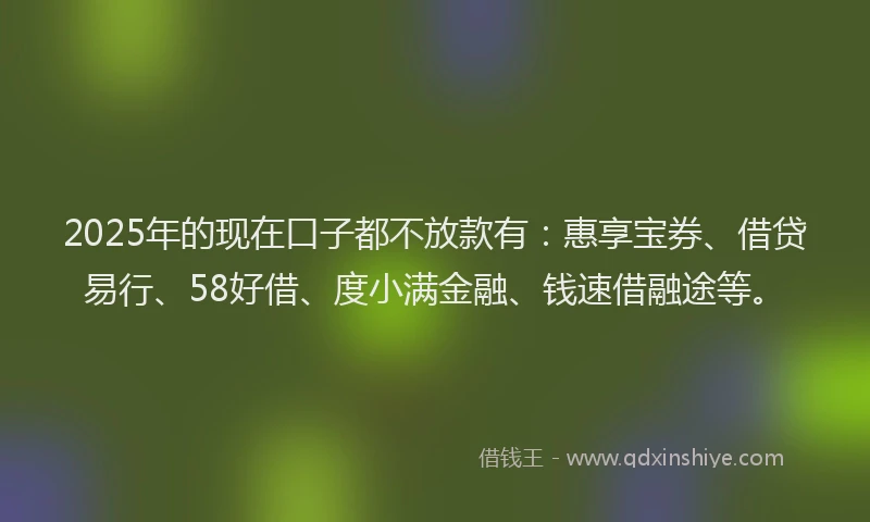 2025年的现在口子都不放款有：惠享宝券、借贷易行、58好借、度小满金融、钱速借融途等。