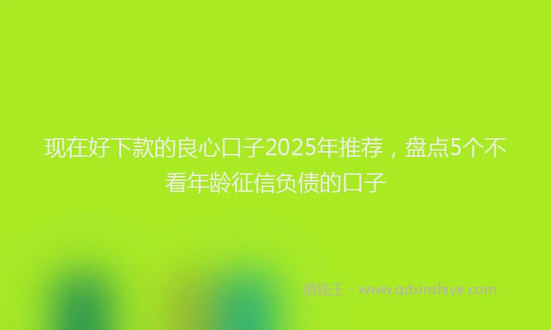 现在好下款的良心口子2025年推荐，盘点5个不看年龄征信负债的口子