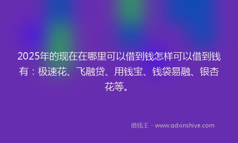 2025年的现在在哪里可以借到钱怎样可以借到钱有：极速花、飞融贷、用钱宝、钱袋易融、银杏花等。