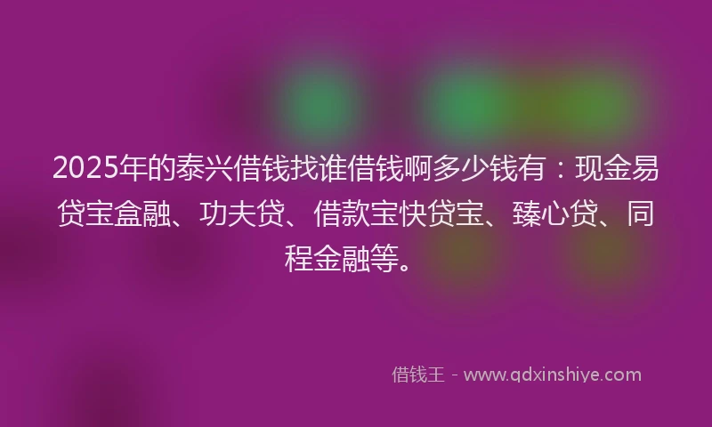 2025年的泰兴借钱找谁借钱啊多少钱有：现金易贷宝盒融、功夫贷、借款宝快贷宝、臻心贷、同程金融等。