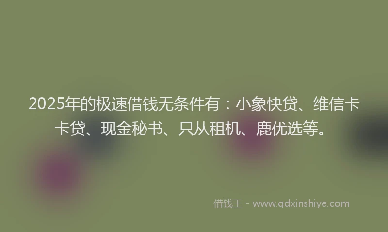 2025年的极速借钱无条件有：小象快贷、维信卡卡贷、现金秘书、只从租机、鹿优选等。