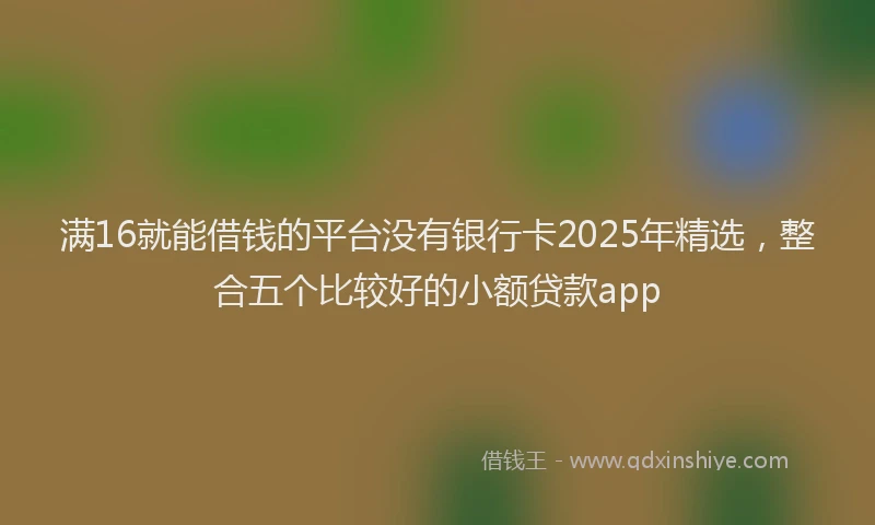 满16就能借钱的平台没有银行卡2025年精选，整合五个比较好的小额贷款app