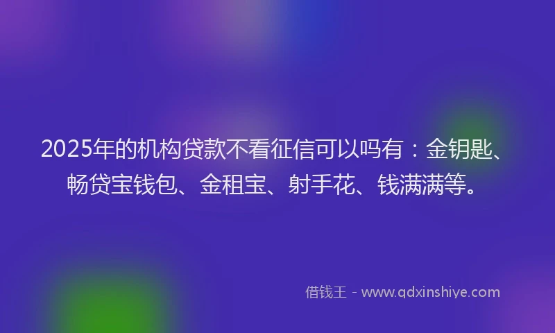 2025年的机构贷款不看征信可以吗有：金钥匙、畅贷宝钱包、金租宝、射手花、钱满满等。