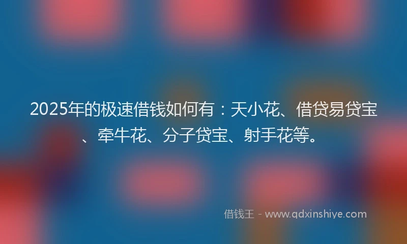 2025年的极速借钱如何有：天小花、借贷易贷宝、牵牛花、分子贷宝、射手花等。