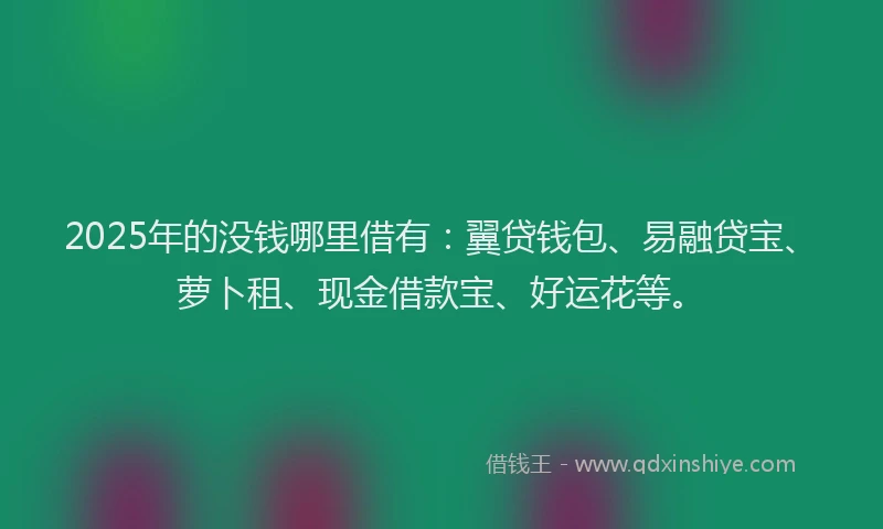 2025年的没钱哪里借有：翼贷钱包、易融贷宝、萝卜租、现金借款宝、好运花等。