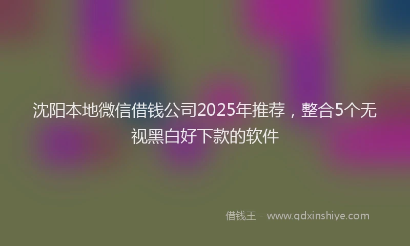 沈阳本地微信借钱公司2025年推荐，整合5个无视黑白好下款的软件