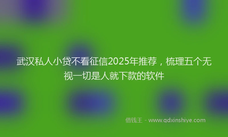 武汉私人小贷不看征信2025年推荐，梳理五个无视一切是人就下款的软件