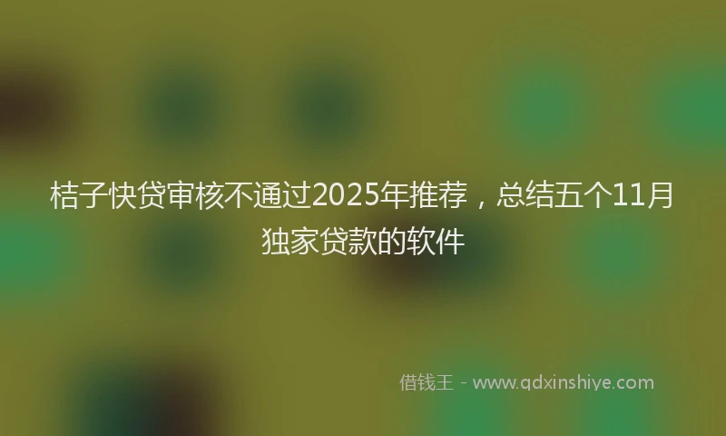 桔子快贷审核不通过2025年推荐，总结五个11月独家贷款的软件