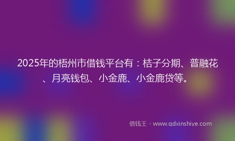 2025年的梧州市借钱平台有：桔子分期、普融花、月亮钱包、小金鹿、小金鹿贷等。