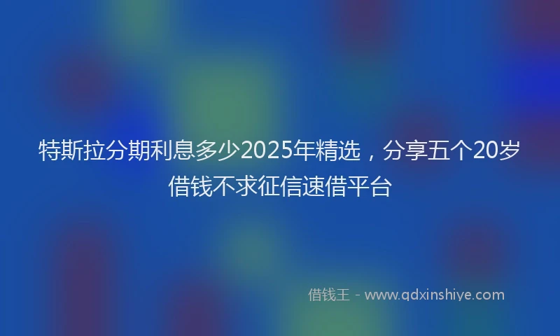 特斯拉分期利息多少2025年精选，分享五个20岁借钱不求征信速借平台