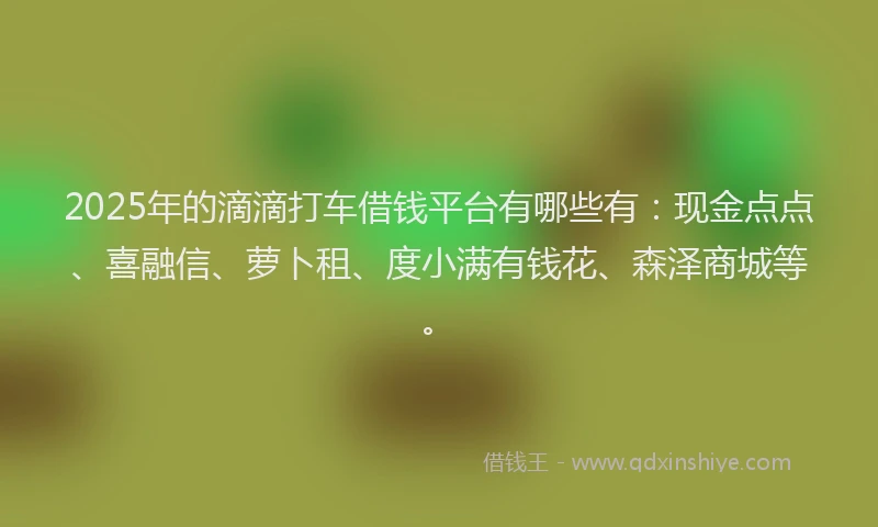 2025年的滴滴打车借钱平台有哪些有：现金点点、喜融信、萝卜租、度小满有钱花、森泽商城等。